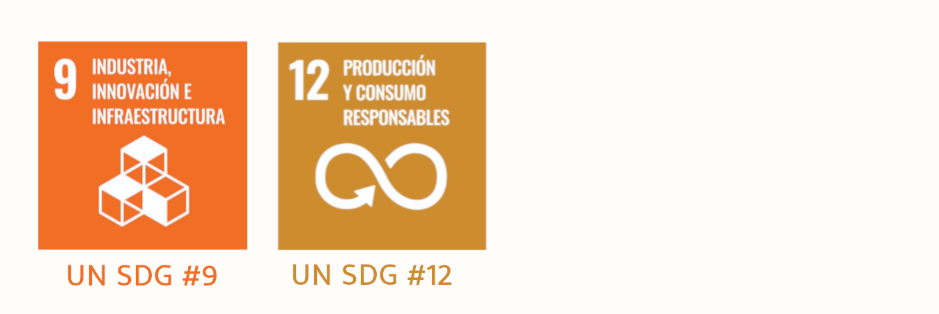 UN SDG